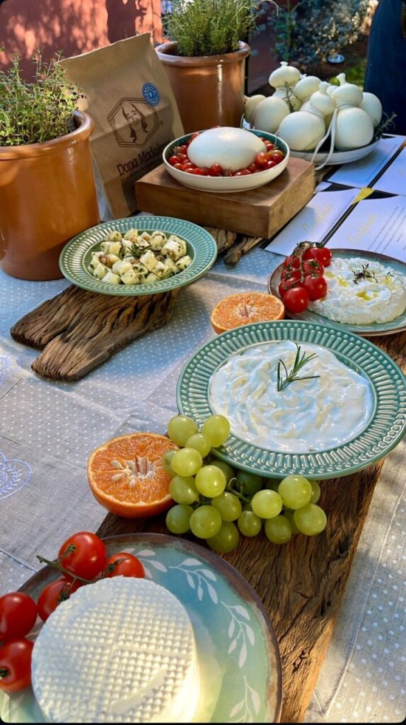 WhatsApp Image 2025-07-19 at 14.57.00 (1)