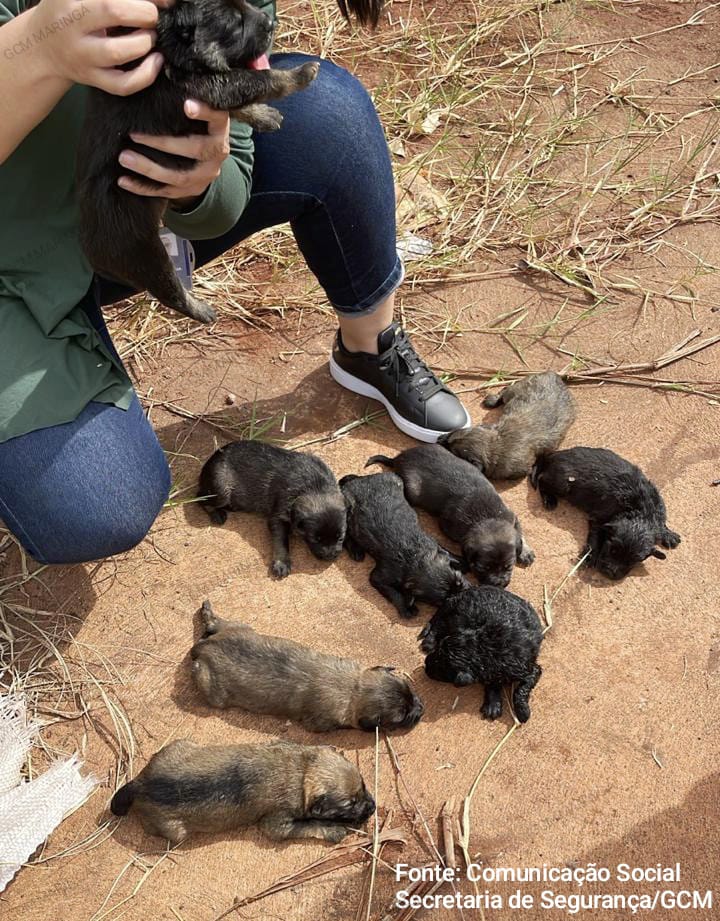 WhatsApp Image 2025-07-21 at 16.28.45