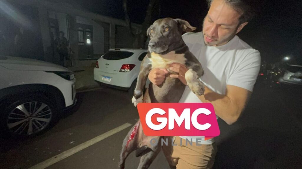 WhatsApp Image 2025-07-23 at 08.58.28