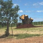 WhatsApp Image 2025-07-28 at 16.14.10 (1)