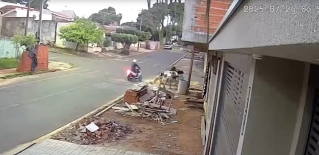 WhatsApp Image 2025-07-28 at 17.15.27