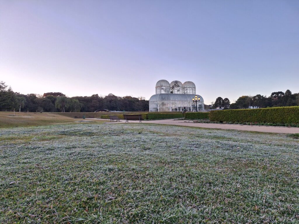 WhatsApp Image 2025-07-30 at 07.40.31