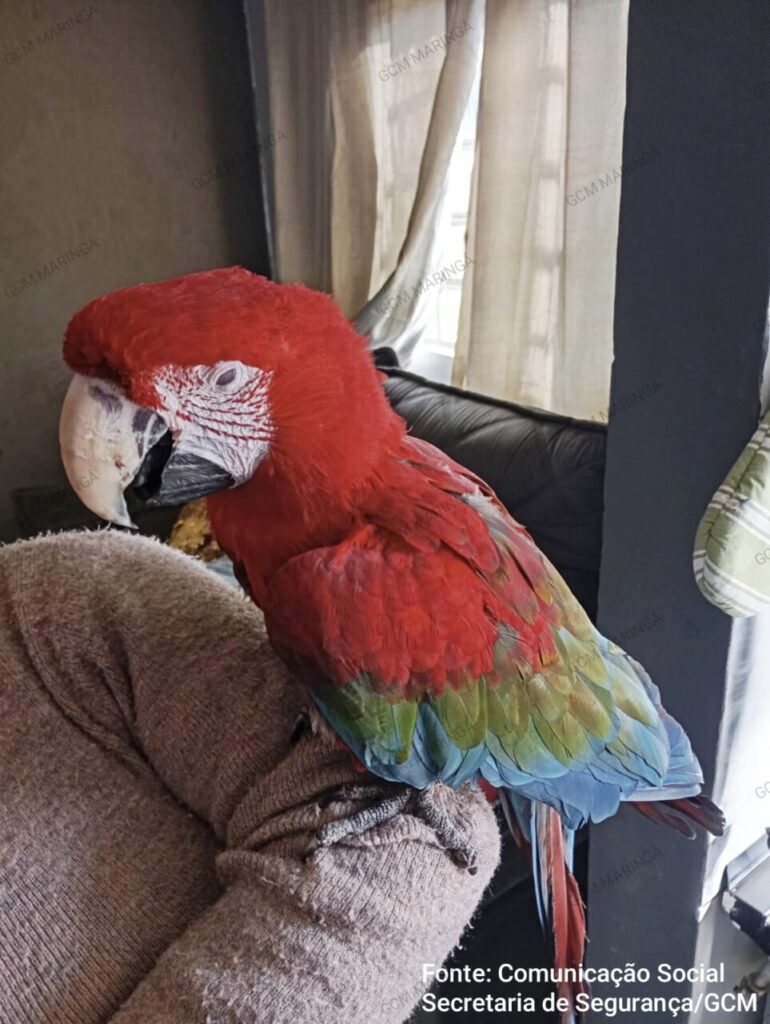 WhatsApp Image 2025-07-30 at 16.50.45 (1)