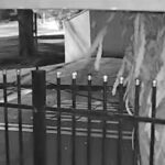 WhatsApp Image 2025-07-31 at 16.34.57 (1)