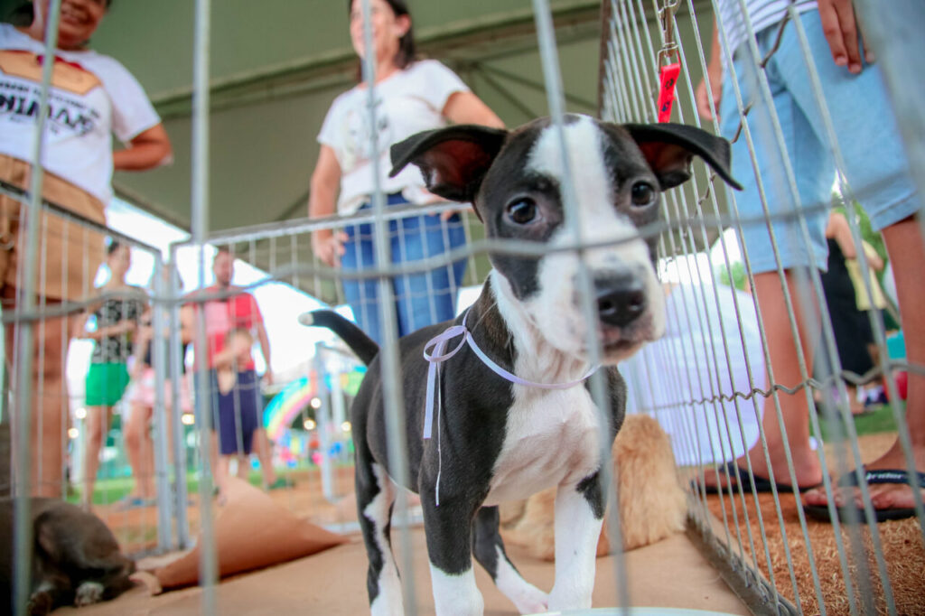 a1853ffd-af6d-4506-9e15-7f193135728f