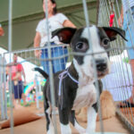 a1853ffd-af6d-4506-9e15-7f193135728f