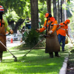 bb035786-0490-4b17-a7c5-2a09ec9766ef