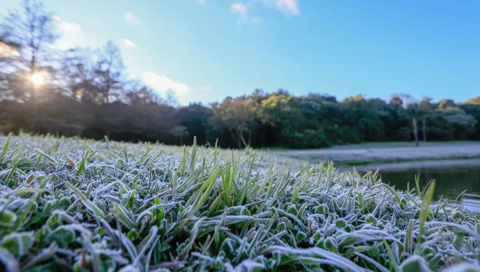 geada-curitiba-970×550