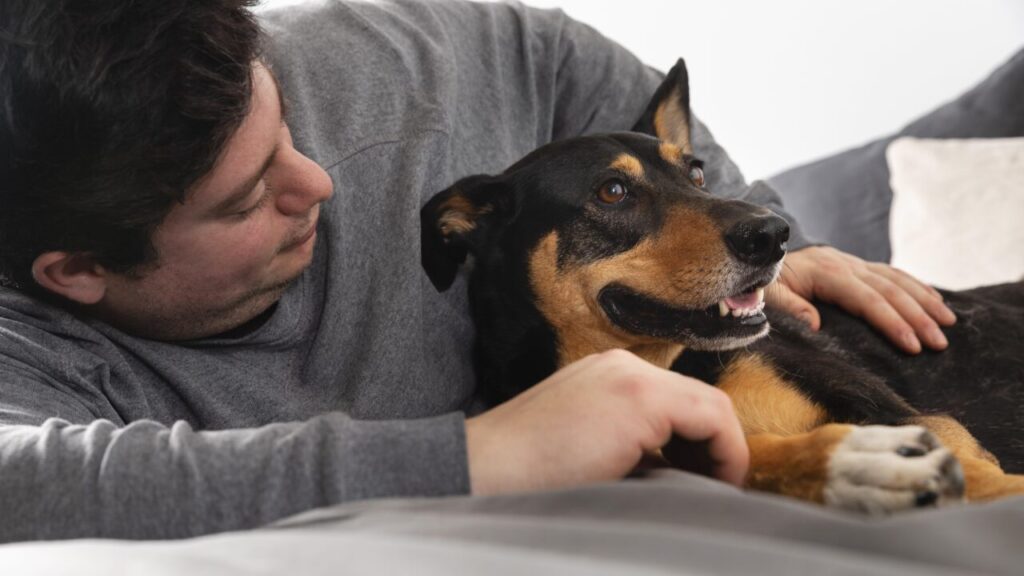 proprietario-segurando-um-cachorro-adoravel