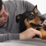 proprietario-segurando-um-cachorro-adoravel