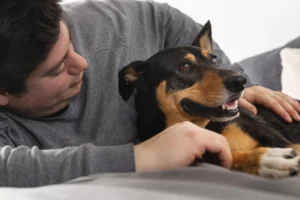 proprietario-segurando-um-cachorro-adoravel