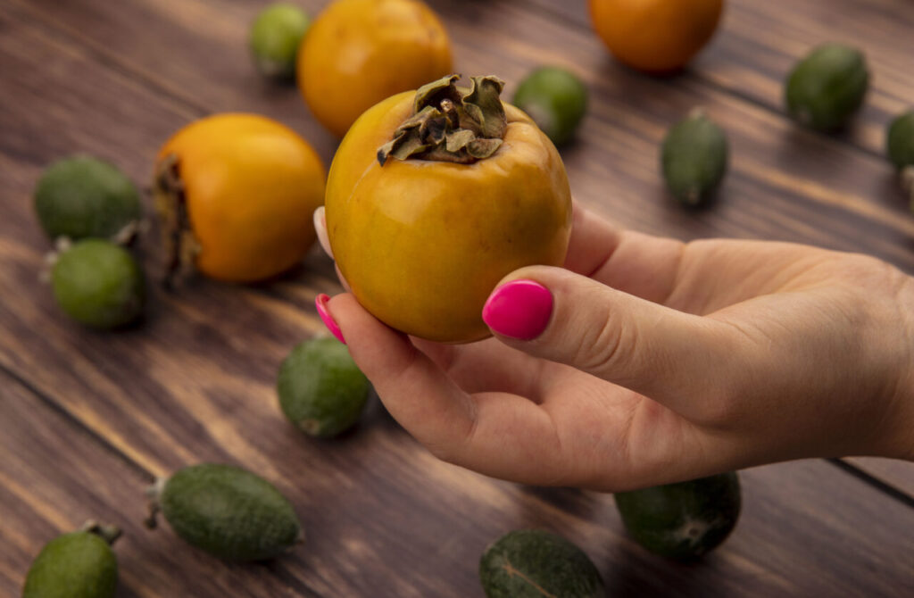 top view of female hand holding a fresh healthy persimmon fruit with feijoas and persimmon fruits isolated on a wooden background