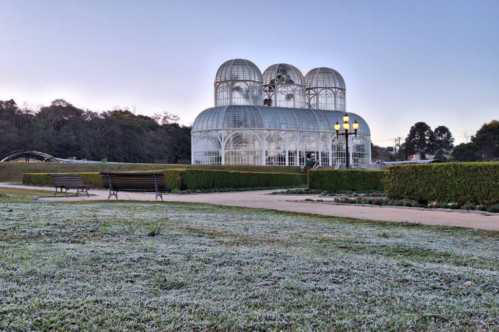 whatsapp_image_2025-07-30_at_08.45.46