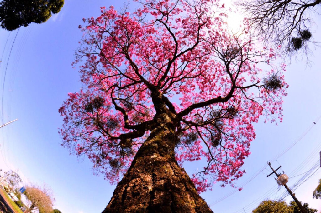 239db0389f928628b9e24e2cabe5986d