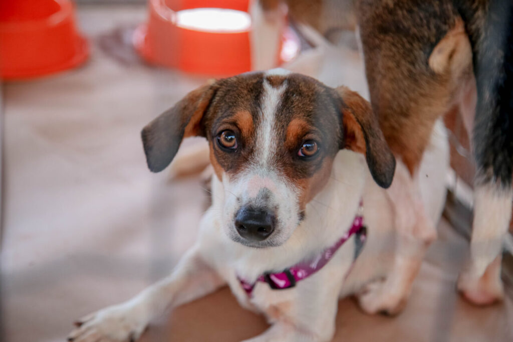 737992cd-9447-4aae-9139-d316e3ef569b (1)