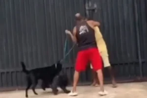 Agressoes-fisicas-comecaram-apos-discussao-entre-o-01016192-0-202508201841-ScaleDownProportional