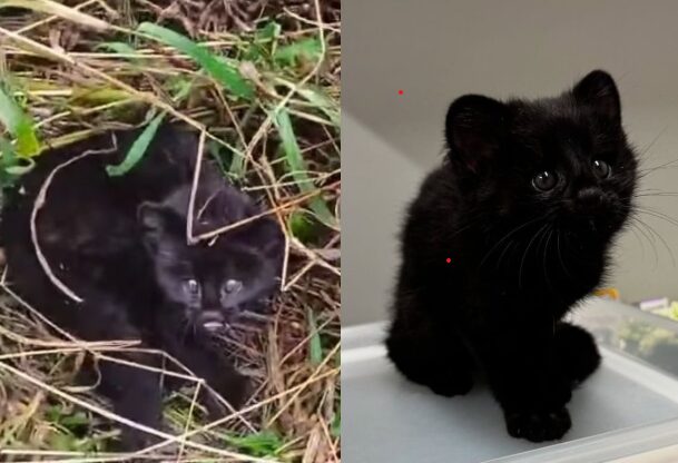 Captura de tela 2025-08-28 102258