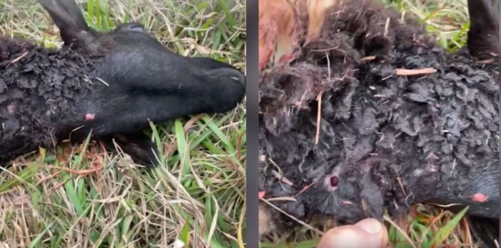 Design sem nome – 2025-08-21T105828.476