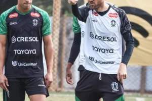 Design sem nome (87)