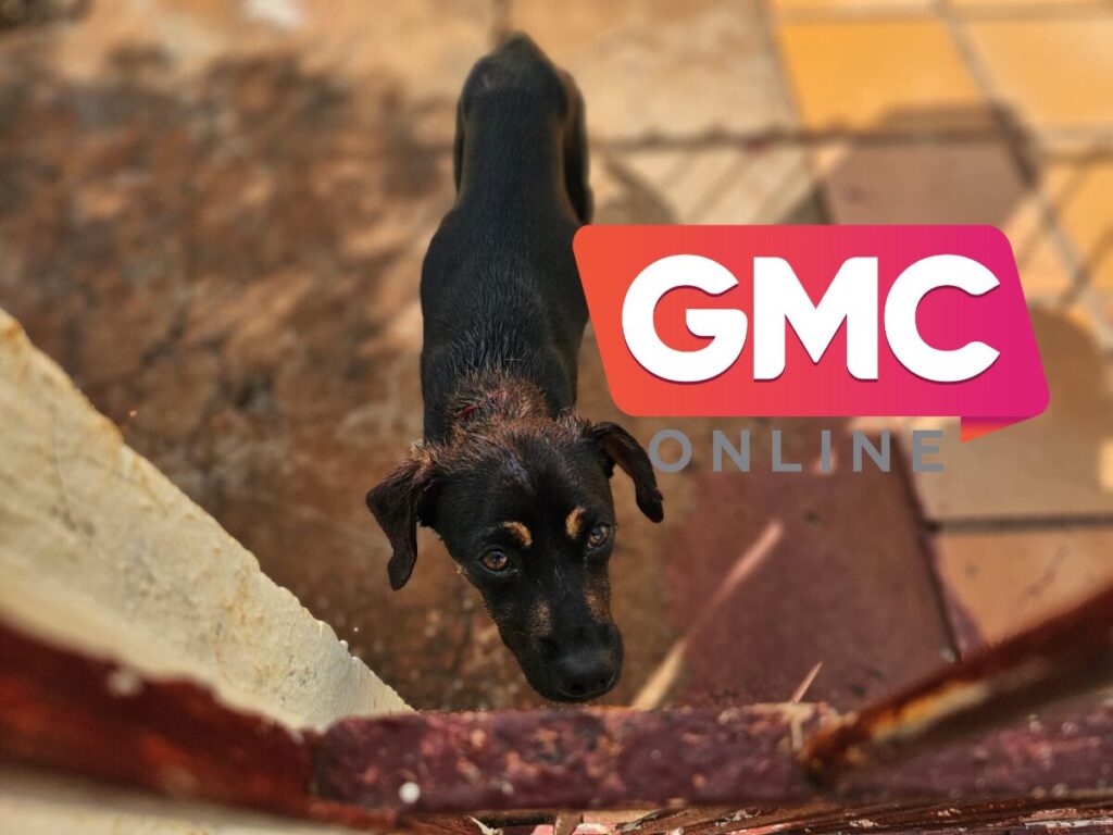 Design sem nome (95)