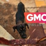 Design sem nome (95)