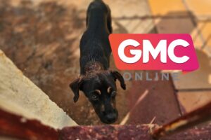 Design sem nome (95)