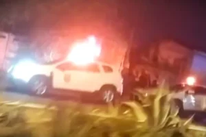 FetoPonta-Grossa_00588688_0_202508191945