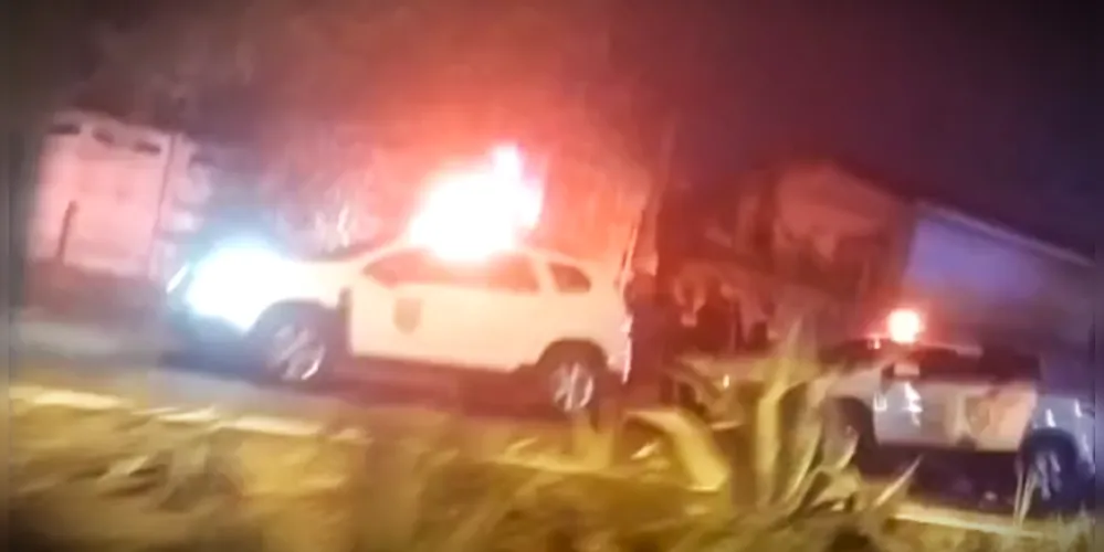 FetoPonta-Grossa_00588688_0_202508191945