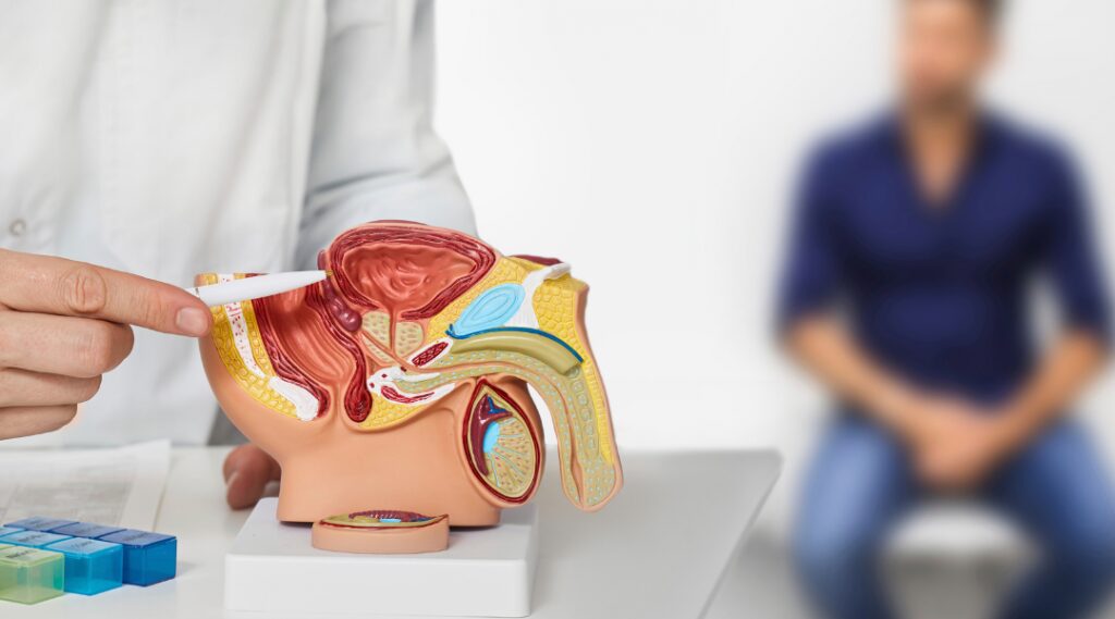 Novembro-Artigo-1-Cirurgia-a-laser-para-o-câncer-de-próstata-1024×569