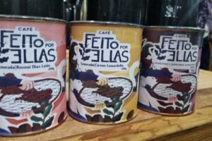 Mulheres se destacam com produção de café especial no Paraná
