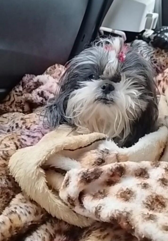 WhatsApp Image 2025-08-10 at 00.03.52