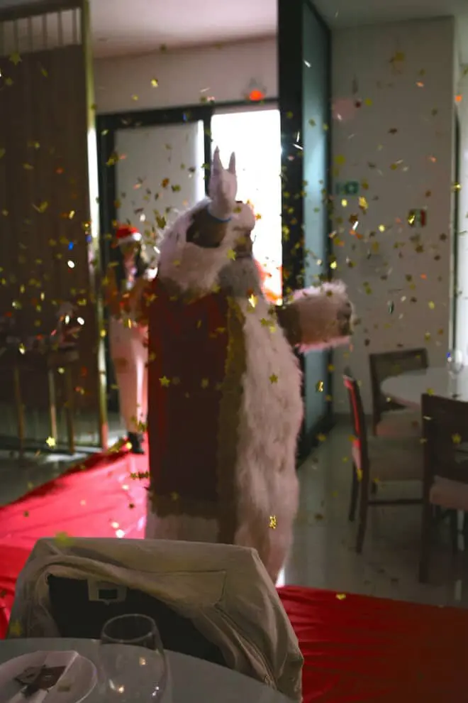 WhatsApp Image 2025-08-10 at 09.47.25