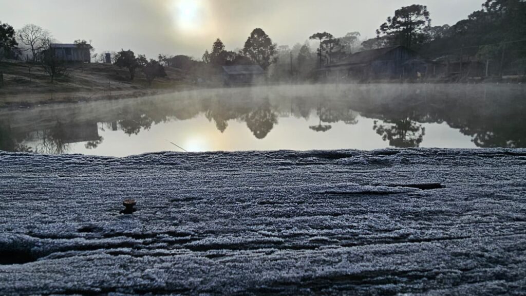 WhatsApp Image 2025-08-12 at 08.48.11 (1)