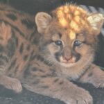 WhatsApp Image 2025-08-13 at 09.55.08