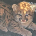 WhatsApp Image 2025-08-13 at 09.55.08