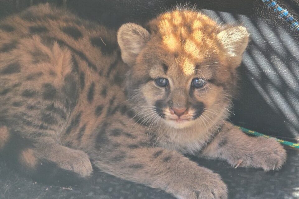 WhatsApp Image 2025-08-13 at 09.55.08