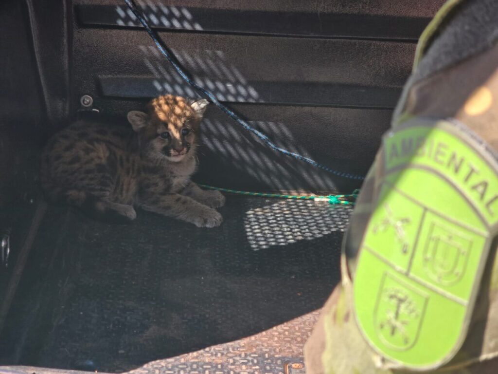 WhatsApp Image 2025-08-13 at 09.55.09 (1)