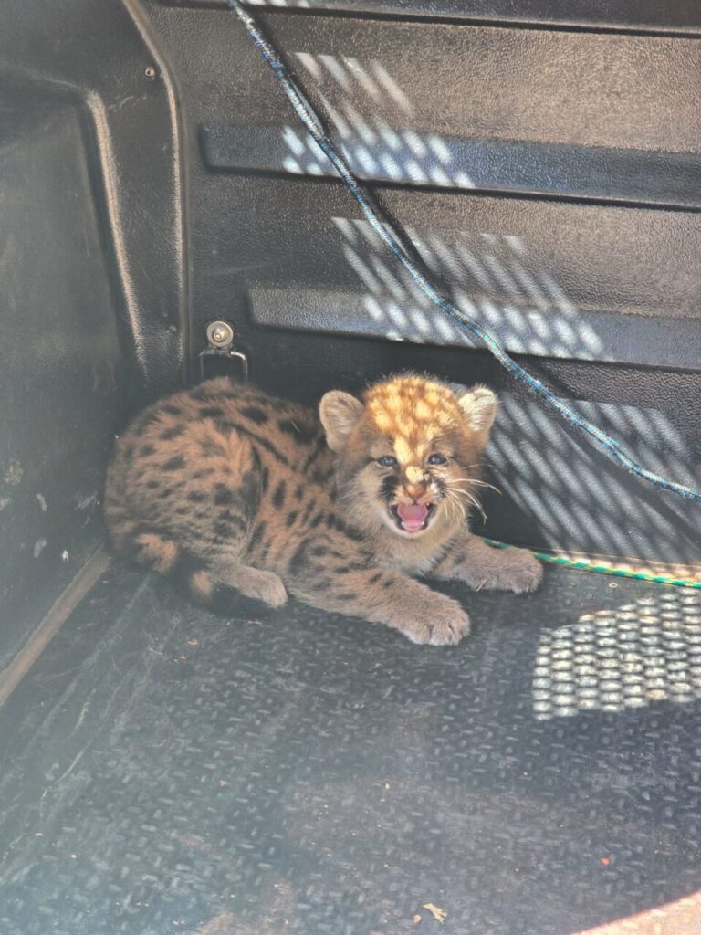 WhatsApp Image 2025-08-13 at 09.55.09