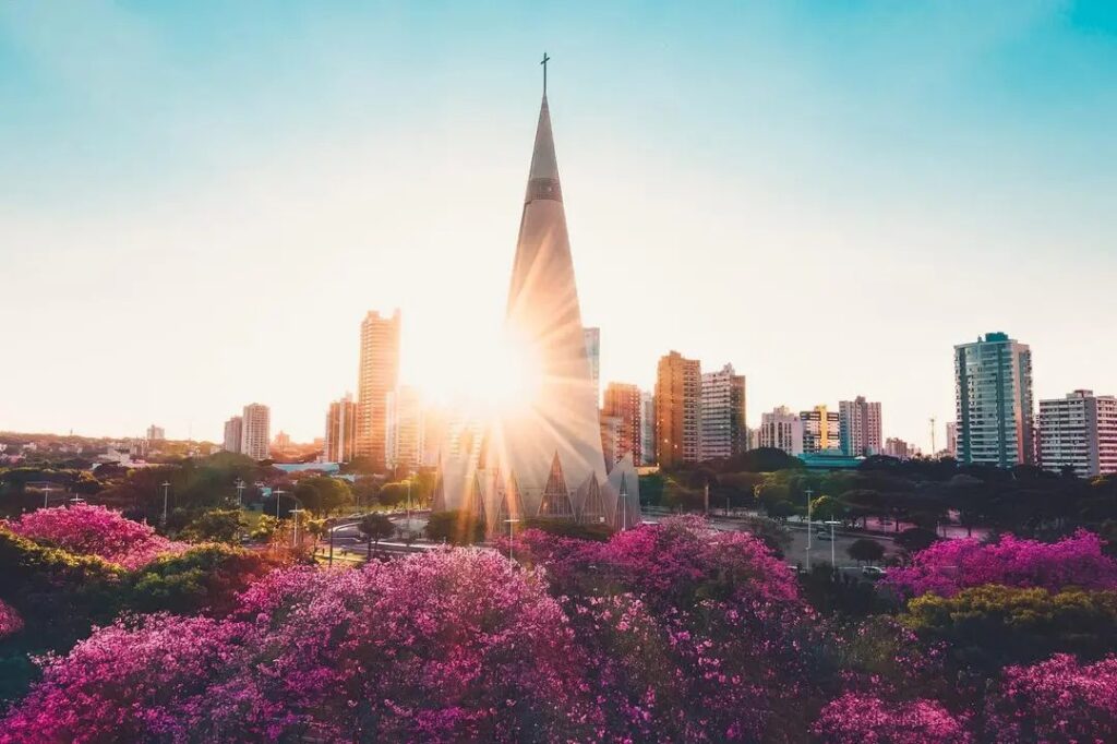 WhatsApp Image 2025-08-13 at 14.42.51