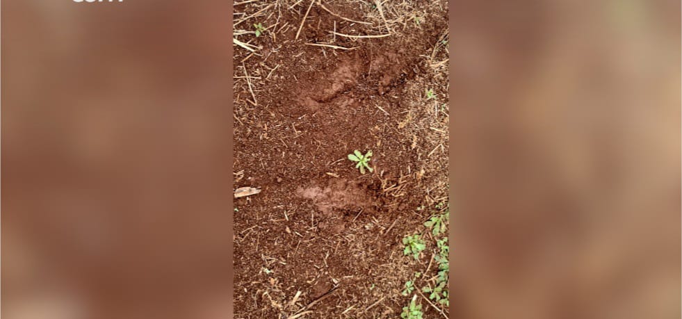 WhatsApp Image 2025-08-19 at 09.07.03