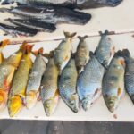 WhatsApp Image 2025-08-28 at 12.32.47 (2)