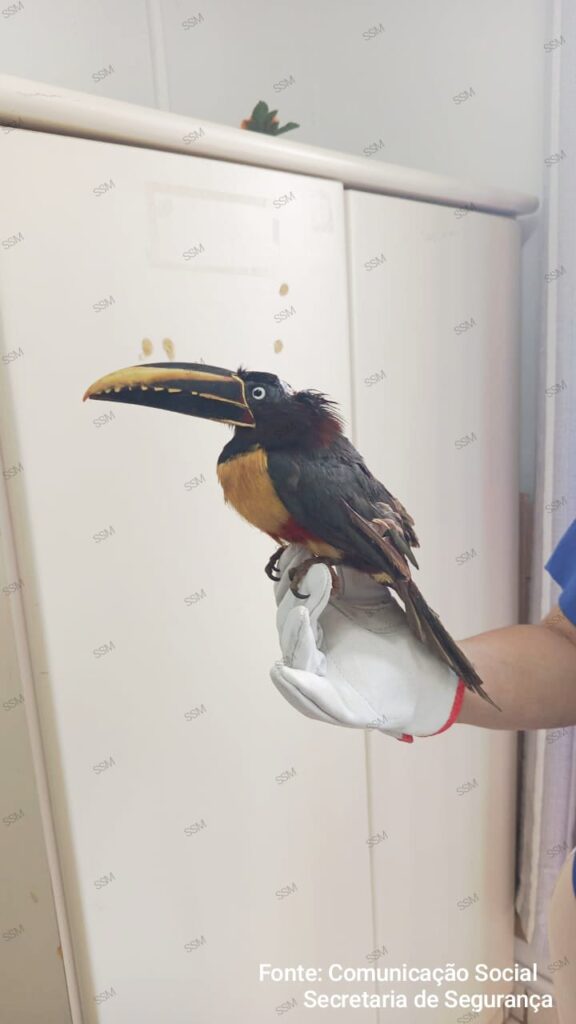 WhatsApp Image 2025-08-28 at 15.45.14