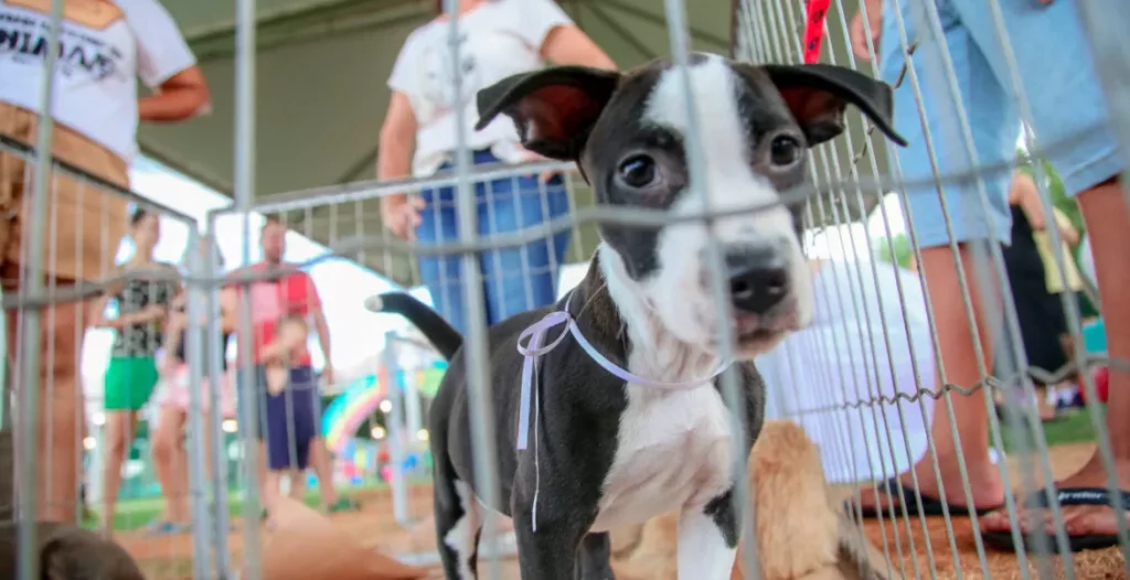 a1853ffd-af6d-4506-9e15-7f193135728f-1130×580