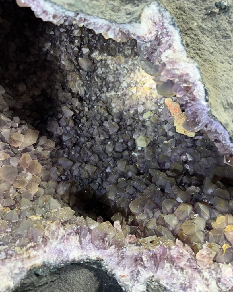 chopinzinhof2j_1750720059_3661627709773341875_74831551834