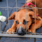 f080f3e5-ac53-4ace-8e6c-1dd780fbd16b