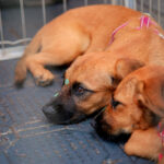 f3681eb1-ef25-4cd2-9e61-f2a031467574