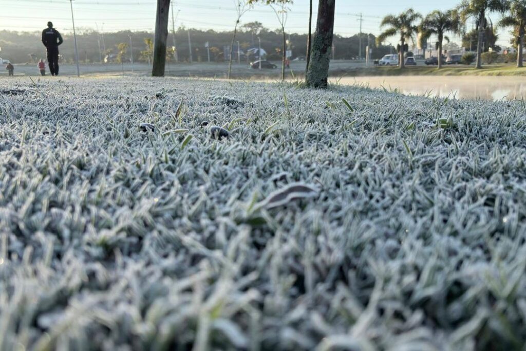 frio intenso com geada no paraná