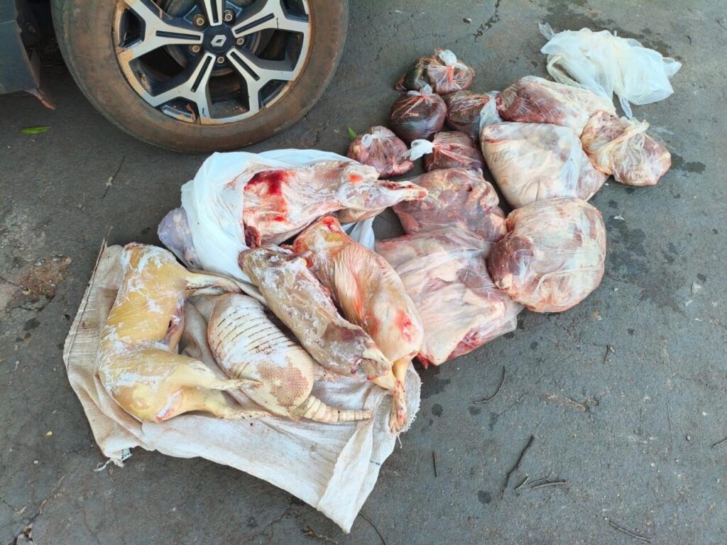 carne de animais de caça ilegal