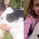 kikodeoliveiranoticias_1754682633_3694868192104465917_26520967885