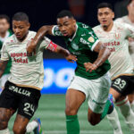 palmeiras_1755829467_3704488529942244064_288523451